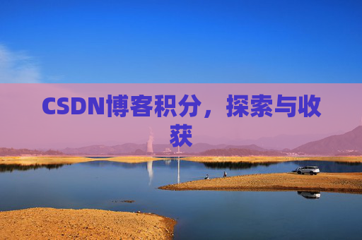 CSDN博客积分，探索与收获